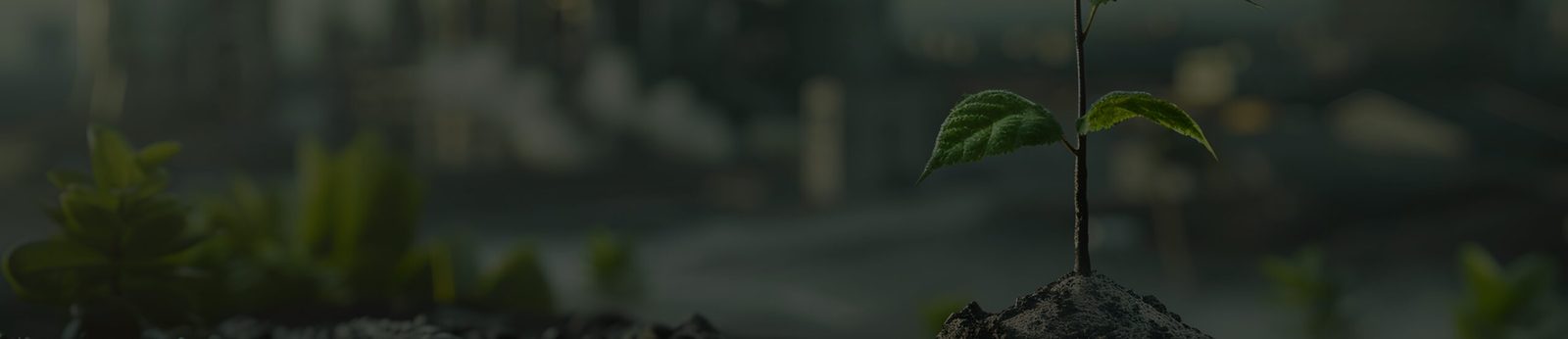Community and sustainability